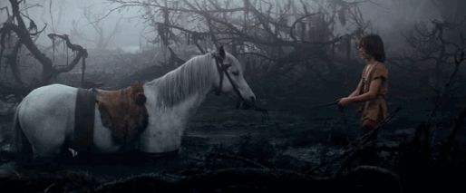 anigif_enhanced-14636-1427243290-12